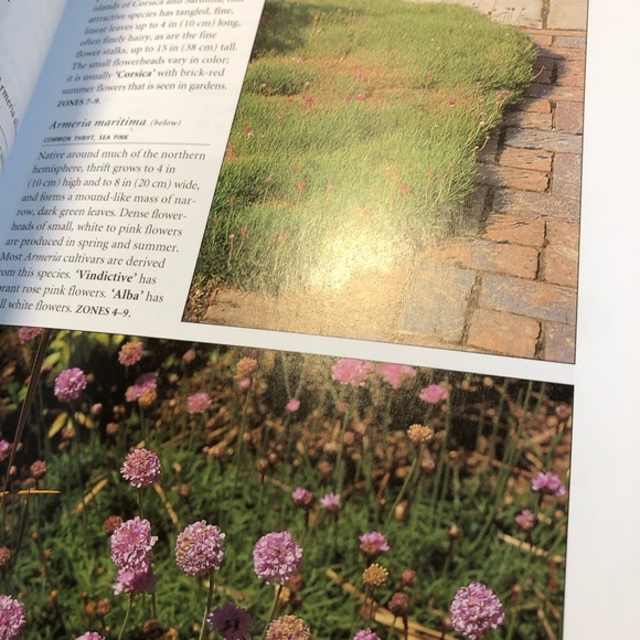 Botanicals Pocket Guide, really great book to help identify over 2000 plants - Picture 14 of 16